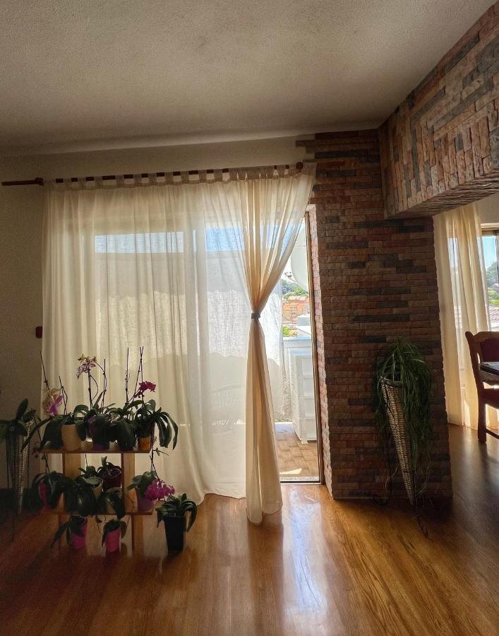 Apartmani Mia Palit Luaran gambar
